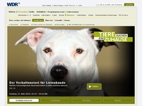 Bild zum Artikel: Welche Schwierigkeiten Hund und Halter in NRW meistern müssen: Der Verhaltenstest für Listenhunde
