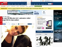 Bild zum Artikel: Ihr Herz blieb stehen - Sie war 30 Minuten tot: Labrador rettet junger Britin das Leben