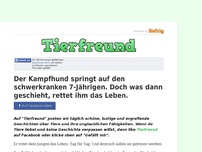 Bild zum Artikel: Der Kampfhund springt auf den schwerkranken 7-Jährigen. Doch was dann geschieht, rettet ihm das...