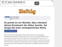 Bild zum Artikel: Es grenzt an ein Wunder, dass niemand dieses Kunstwerk der Natur kannte. Sei Zeuge bei einer...