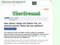 Bild zum Artikel: Was dieser Vogel mit Papier tut, ist absolut genial. Make Up war gestern!