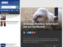 Bild zum Artikel: Gruselige Mutation: Schaf sieht aus wie ein Mensch