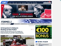 Bild zum Artikel: Vettel gewinnt in Malaysia! Rosberg auf dem Podest