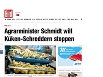 Bild zum Artikel: Bis 2017 - Agrarminister will Küken- Schreddern stoppen