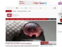 Bild zum Artikel: Wikinger-Ring mit „Allah“-Inschrift aufgetaucht - Sensationsfund in Skandinavien