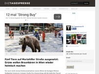 Bild zum Artikel: Fünf Tiere auf Mariahilfer Straße ausgesetzt: Grüne wollen Braunbären in Wien wieder heimisch machen