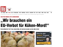 Bild zum Artikel: Politikerin Connemann - „Wir brauchen ein EU- Verbot für Küken-Mord!“