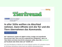 Bild zum Artikel: In aller Stille wollten sie Abschied nehmen. Dann öffnete sich die Tür und die Tiere übernahmen...