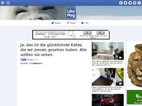 Bild zum Artikel: Ja, das ist die glücklichste Katze, die wir jemals gesehen haben. Alle sollten sie sehen.