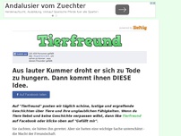 Bild zum Artikel: Aus lauter Kummer droht er sich zu Tode zu hungern. Dann kommt ihnen DIESE Idee.