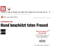 Bild zum Artikel: Ergreifendes Video - Hund beschützt toten Freund