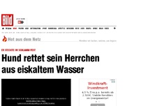 Bild zum Artikel: Er steckte fest - Hund rettet Herrchen aus eiskaltem Wasser