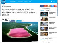 Bild zum Artikel: Warum ist dieser See pink? Wir erklären 3 unfassbare Rätsel der Natur!