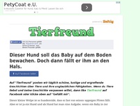 Bild zum Artikel: Dieser Hund soll das Baby auf dem Boden bewachen. Doch dann fällt er ihm an den Hals.