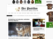 Bild zum Artikel: Brandenburg: Als Großmutter verkleideter Wolf frisst Mädchen