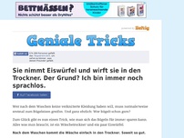 Bild zum Artikel: Sie nimmt Eiswürfel und wirft sie in den Trockner. Der Grund? Ich bin immer noch sprachlos.