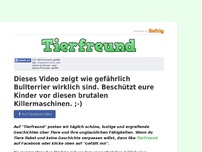 Bild zum Artikel: Dieses Video zeigt wie gefährlich Bullterrier wirklich sind. Beschützt eure Kinder vor diesen...