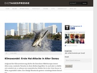 Bild zum Artikel: Klimawandel: Erste Hai-Attacke in Alter Donau
