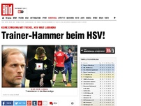 Bild zum Artikel: Trainer-Hammer! - HSV sagt Tuchel ab, Labbadia kommt sofort