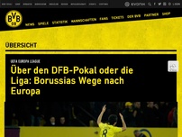 Bild zum Artikel: Über den DFB-Pokal oder die Liga: Borussias Wege nach Europa