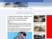 Bild zum Artikel: Er legt seinen kranken, alten Hund in den Pool - Sekunden später kommen einem die Tränen.