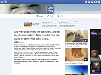 Bild zum Artikel: Sie verbrachten ihr ganzes Leben in einem Labor. Nun berühren sie zum ersten Mal das Gras.