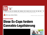 Bild zum Artikel: Kiffen vor der Kamera - Diese Ex-Cops fordern Cannabis-Legalisierung