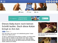 Bild zum Artikel: Dieses Baby wird ganz schnell laufen lernen, kein Wunder bei diesem Lehrer.