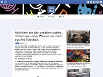 Bild zum Artikel: Nachdem wir das gesehen haben, trinken wir unser Wasser nie mehr aus Pet Flaschen.