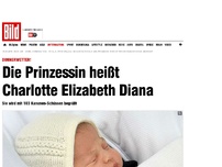 Bild zum Artikel: Im Live-Stream sehen - Mini-Prinzessin wird mit Salutschüssen begrüßt