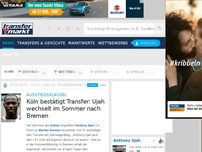 Bild zum Artikel: Ausstiegsklausel: Köln bestätigt Transfer: Ujah wechselt im Sommer nach Bremen