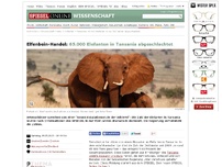 Bild zum Artikel: Elfenbein-Handel: 65.000 Elefanten in Tansania abgeschlachtet