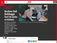 Bild zum Artikel: Berliner ließ Bulldogge fast im Auto ersticken