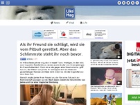 Bild zum Artikel: Weil ihr Pitbull sie vor ihrem brutalen Freund beschützt hat, soll sie ihn nun weggeben.