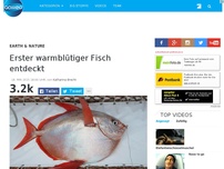 Bild zum Artikel: Erster warmblütiger Fisch entdeckt