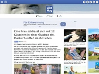 Bild zum Artikel: Eine Frau schliesst sich mit 12 Kätzchen in einer Glasbox ein. Dadurch rettet sie ihr Leben.