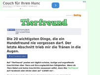 Bild zum Artikel: Die 20 wichtigsten Dinge, die ein Hundefreund nie vergessen darf. Der letzte Abschnitt trieb mir...