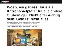 Bild zum Artikel: Woah, ein ganzes Haus als Katzenspielplatz! An alle anderen Stubentiger: Nicht eifersüchtig sein. Geld ist nicht alles