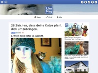 Bild zum Artikel: 28 Zeichen, dass deine Katze plant dich umzubringen.