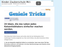 Bild zum Artikel: 24 Ideen, die das Leben jedes Katzenliebhabers einfacher machen werden.