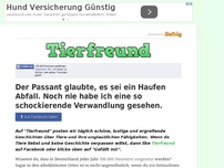 Bild zum Artikel: Der Passant glaubte, es sei ein Haufen Abfall. Noch nie habe ich eine so schockierende...