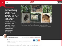 Bild zum Artikel: In Herzberg steht das Tierheim der Schande