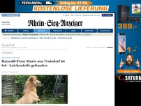 Bild zum Artikel: Nach Brand vermisst - Pony Mario aus Troisdorf ist tot