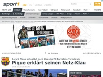 Bild zum Artikel: Pique erklärt seinen Netz-Klau