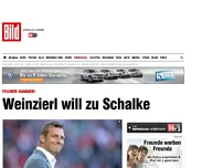 Bild zum Artikel: TRAINER-HAMMER! - Markus Weinzierl will zu Schalke 04