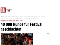Bild zum Artikel: Hundefleisch-Fest - 40 000 Hunde für Festival geschlachtet