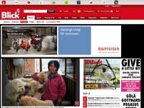 Bild zum Artikel: Tiere: 100 Hunde in China vor Kochtopf gerettet