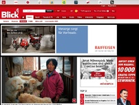 Bild zum Artikel: Sie kaufte die Tiere: Chinesin rettet 100 Hunde vor dem Kochtopf