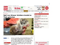 Bild zum Artikel: Igel von Wiener Schülern brutal zu Tode getreten