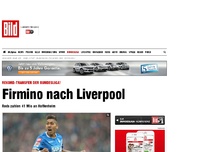 Bild zum Artikel: Rekord-Transfer - Firmino für 41 Mio nach Liverpool